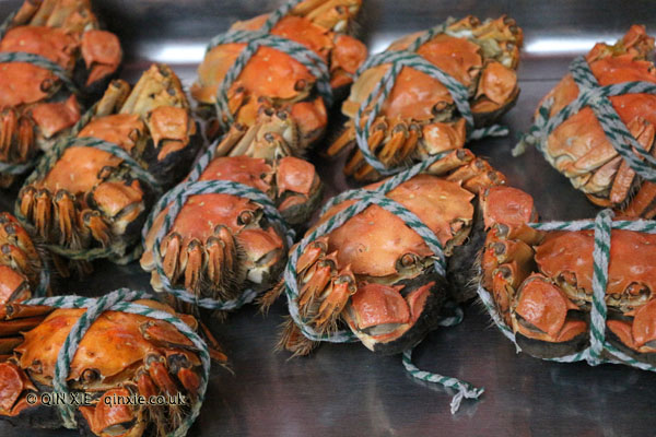 crabs in Shanghai